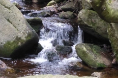 p1000698_copy