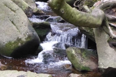 p1000699_copy