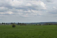 p1000739_copy