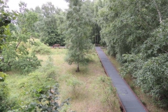dscn3310