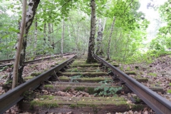 dscn3329