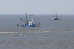 p1020191