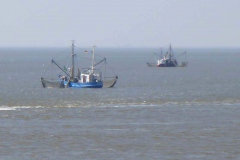 p1020192