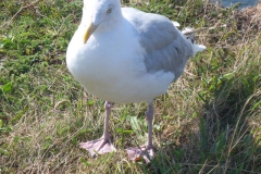 p1020225