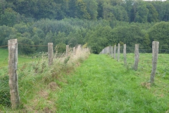 p1020313
