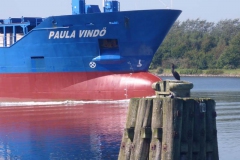 p1020341
