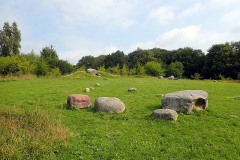 P9120036
