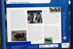 P9120038