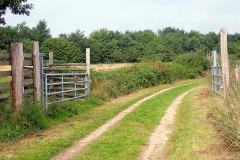P9120039