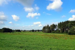 P9120043