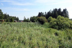 P9130079