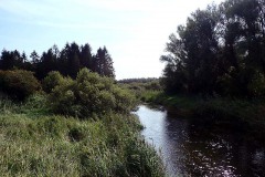 P9130080