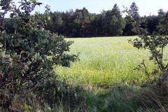 P9130099