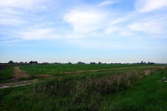 P9150119