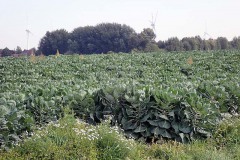 P9150122