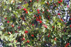 P9150129