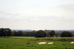 P9160138