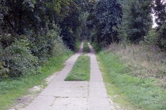 P9160141