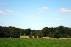 P9170159