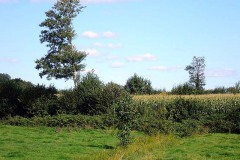 P9170160