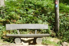 dscn2899