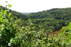 dscn2911