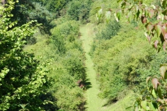 dscn2915