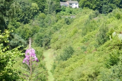 dscn2916