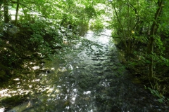 dscn2919