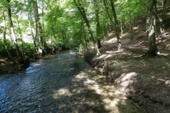 dscn2920