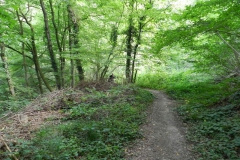 dscn2922