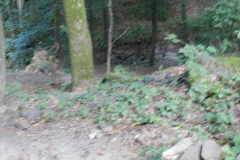 dscn2925