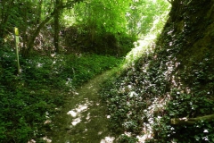 dscn2930