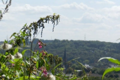 dscn2932