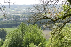 dscn2941