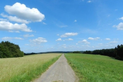 dscn2943