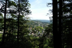 dscn2956