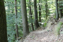 dscn2960