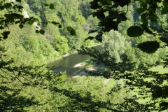 dscn2972