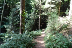 dscn2981
