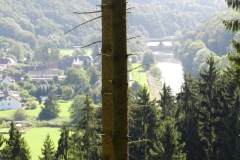 dscn2983