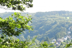 dscn2987