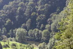 dscn2994