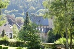 dscn3006