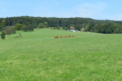 dscn3020