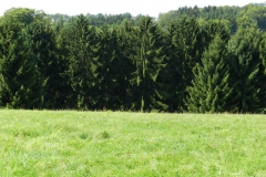 dscn3023