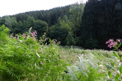 dscn3035