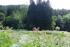 dscn3036
