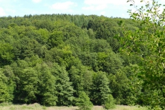 dscn3044