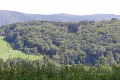 dscn3048